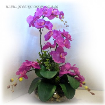 AF07202 Artificial Phalaenopsis Orchids Arrangement