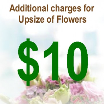 AU01008-$10 Upsize Charge