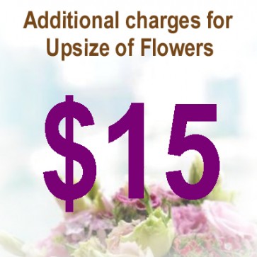 AU01511-$15 Upsize Charge