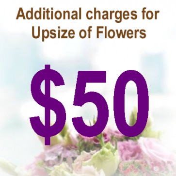 AU05038-$50 Upsize Charge