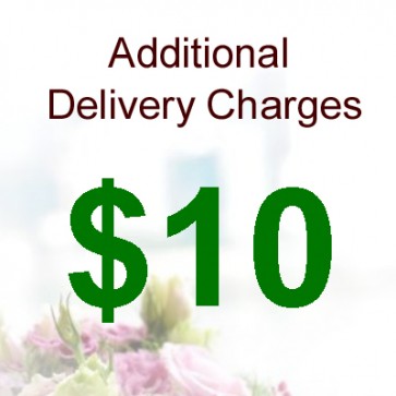 AD01006-$10 Delivery Charge