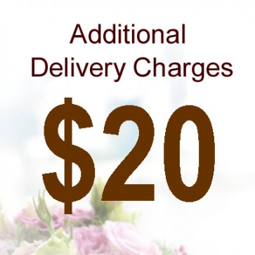 AD02012 Delivery Charge
