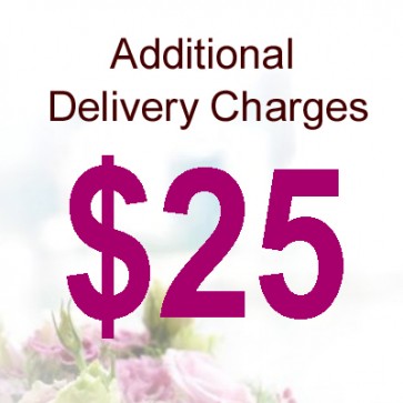 AD02518-$25 Delivery Charge