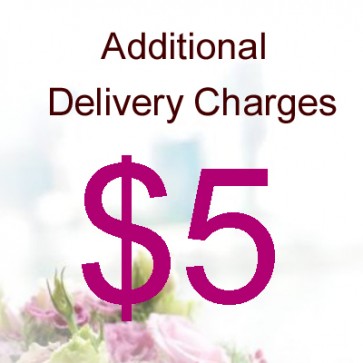 AD00503-$5 Delivery Charge