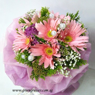 HB07075-ORW-6 Pk Gerbera