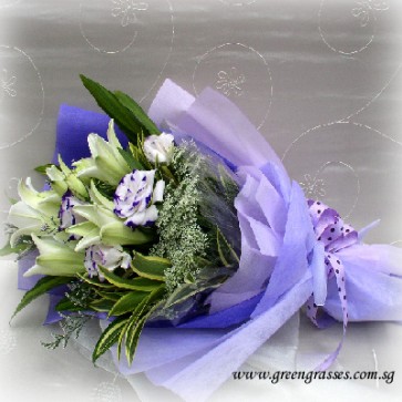HB13042 BOQ-5 Wh Lily