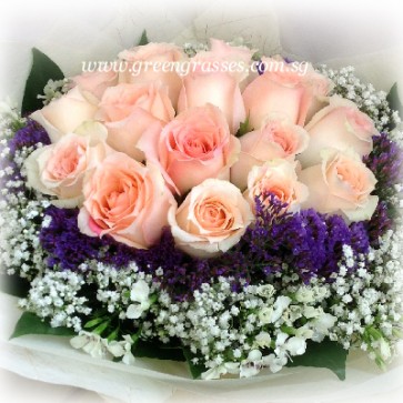HB11720-LLGRW-16 Champagne Rose