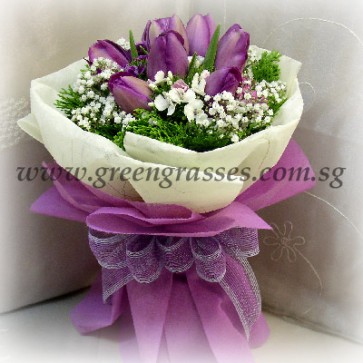 HB09048 LLGRW-Purple Tulip 