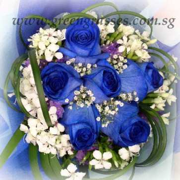 HB10521-ORW-6 Ecuador Blue Rose