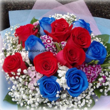 HB12026 LGRW-12-Rose(Red+Ecuador Blue) 