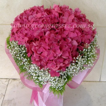 HSB13905-Heart-Shaped Hydrangea