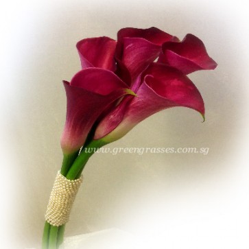 WB09026 ROM-5 Burgundy Calla Lily w/Bead hand bouquet
