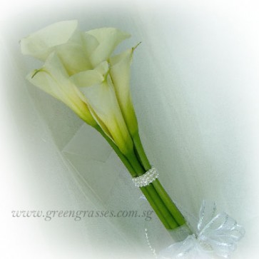 WB09041 ROM-5 Wh Calla Lily w/bead hand bouquet
