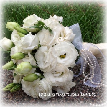 WB10043 ROM-Wh Eustoma/Lisianthus hand bouquet