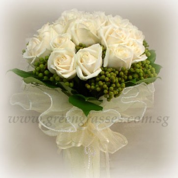 WB11823 ROM-18 White Roses