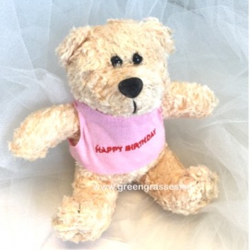 AB007907-5.5" Birthday Bear w/Pk Tee