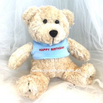 AB009911-6.5" Birthday Bear w/Blue Tee