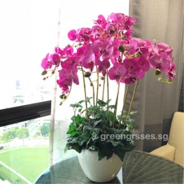 AF12008 Artificial Phalaenopsis Orchids Arrangement