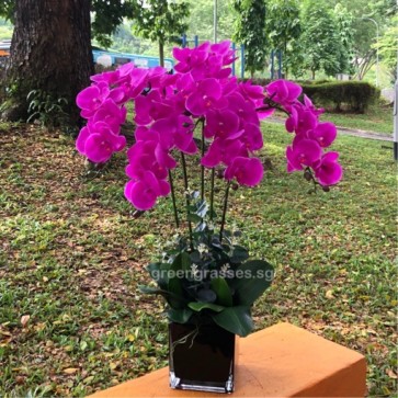 AF12528 Artificial Phalaenopsis Orchids Arrangement