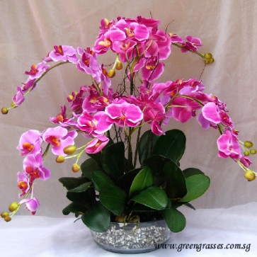 AF13001 Artificial Phalaenopsis Orchids Arrangement