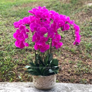 AF18012 Artificial Phalaenopsis Orchids Arrangement