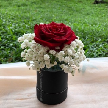 BX03543-1 Red Roses in Box