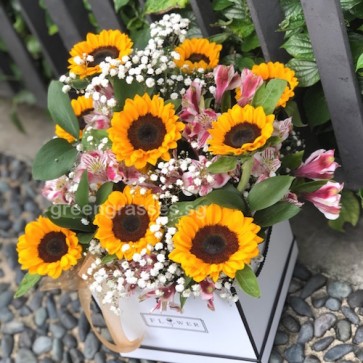 BX13522 Sunflowers in Square Gift Box