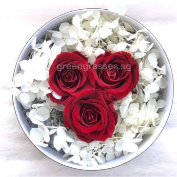 BXP06516-3 Red Roses Everlasting Preserved 永生花 in Box