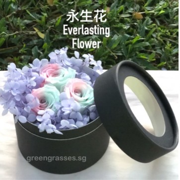 BXP07545-3 Rainbow Roses Everlasting Preserved 永生花 in Box