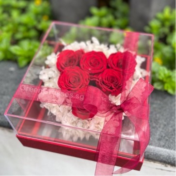 VHB-809535 BOX-6 永生花 Everlasting Preserved Red Roses in Box