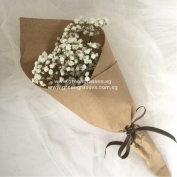 HB03507-KW-Wh BB-Baby's Breath hand bouquet