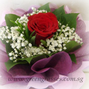 HB03558-LGRW-1 Red Rose Hand Bouquet