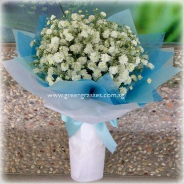 HB04018-SW-Wh BB Baby's Breath hand bouquet