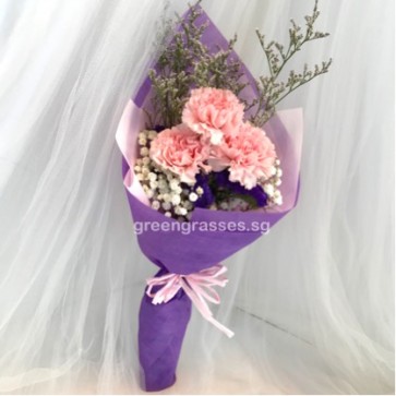 HB04548-SW-3 Pk Carnations hand bouquet