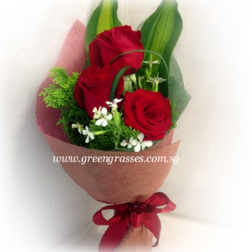 HB05085-SW-3 Red Rose hand bouquet