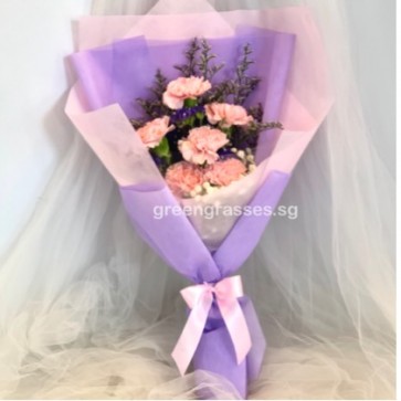 HB06023-GLSW-6 Pk Carnation hand bouquet