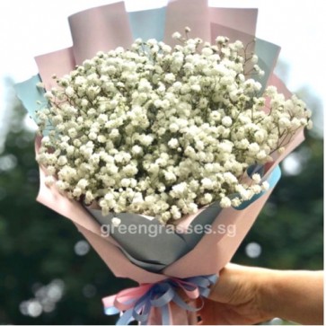 HB06044-KW-Wh BB Baby's Breath Hand Bouquet
