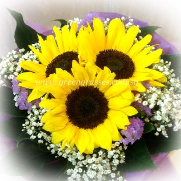 HB07517-LLGRW-3 Sunflower hand bouquet