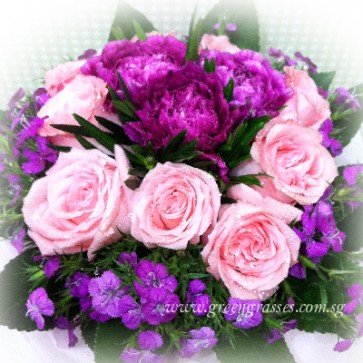 HB08053-LLGRW-9 Pk Rose+3 Purple Carnation