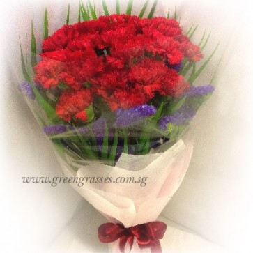 HB08625-TW-20 Red Carnation hand bouquet