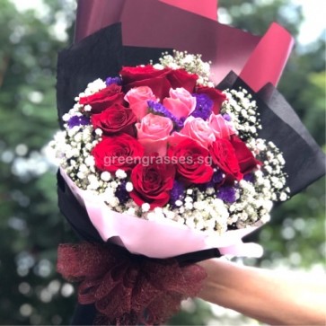 HB11234 GLSW-15 Roses(Red+Pink)