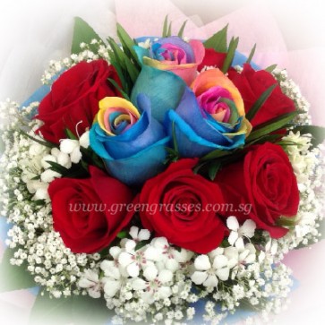HB09812-LGRW-3 Ecuador Rainbow+6 Red Rose