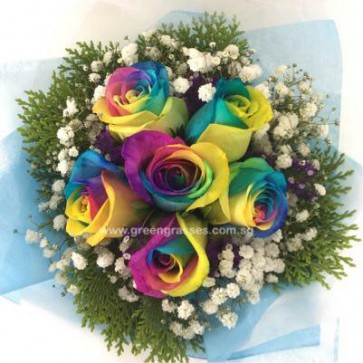 HB10516 BOQ-6 Ecuador Roses