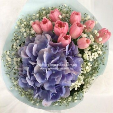HB12060 BOQ-9 or 10 Pk Tulip w/Ppl Hydrangea