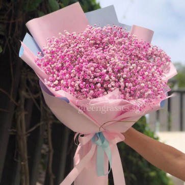 HB12051 Pk Baby's Breath BB Hand Bouquet