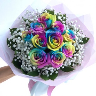 HB13518 BOQ-10 Ecuador Rainbow Rose