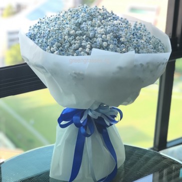 HB15031 BOQ-Blue Baby's Breath