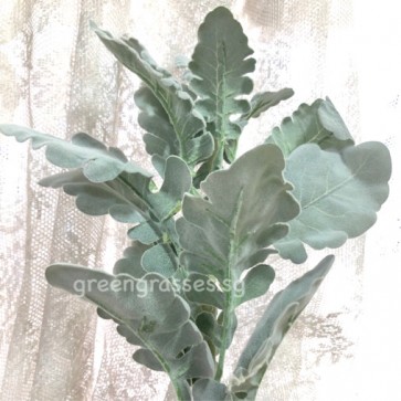 LAF005455-Self Collect-TR-C221 Loose Artificial Silver Dusty Miller