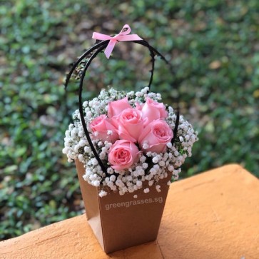 PB05530 BAG-6 Pk Roses in Paper Gift Bag