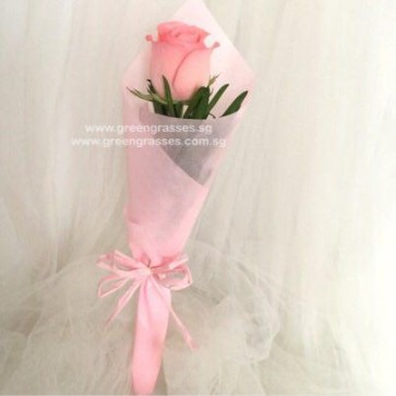 SCHB006521 Self Collect-PSW-1 Pink Rose